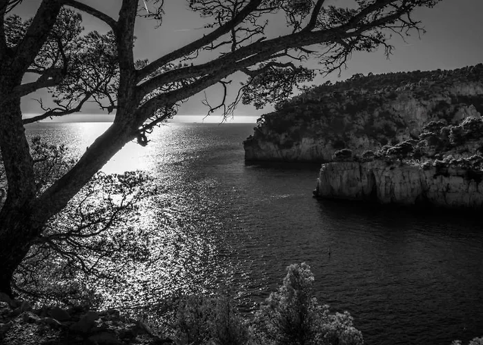 Les Mimosas bord de mer, des plages, du port et de toutes commodités
