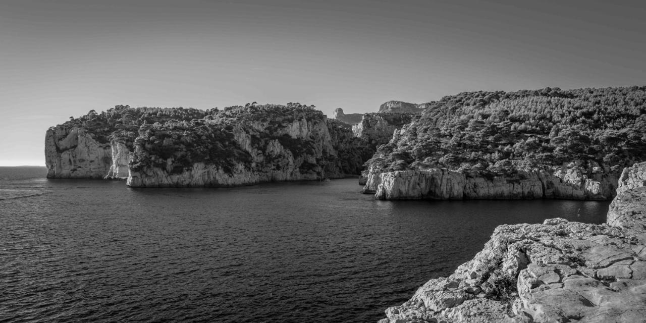 Les Mimosas Bord De Mer, Des Plages, Du Port Et De Toutes Commodités Appartement