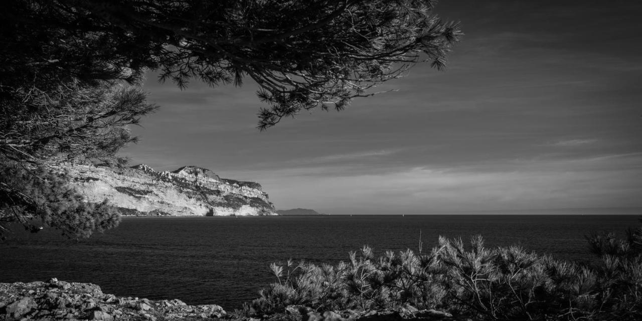 Les Mimosas Bord De Mer, Des Plages, Du Port Et De Toutes Commodités Appartement Saint-Cyr-sur-Mer