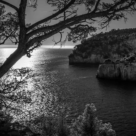 Les Mimosas bord de mer, des plages, du port et de toutes commodités Saint-Cyr-sur-Mer Extérieur photo